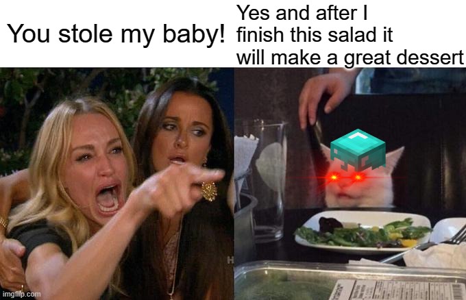 Child eating cat | Yes and after I finish this salad it will make a great dessert; You stole my baby! | image tagged in memes,two women yelling at a cat,evil cat | made w/ Imgflip meme maker