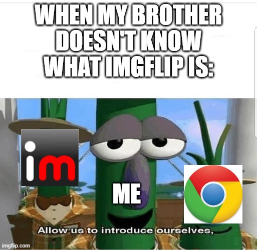 When my brother doesn't know what imgflip | WHEN MY BROTHER DOESN'T KNOW WHAT IMGFLIP IS:; ME | image tagged in allow us to introduce ourselves | made w/ Imgflip meme maker