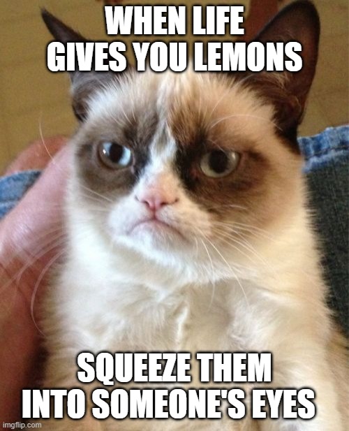 Grumpy Cat | WHEN LIFE GIVES YOU LEMONS; SQUEEZE THEM INTO SOMEONE'S EYES | image tagged in memes,grumpy cat | made w/ Imgflip meme maker