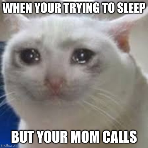 let Me SlEeP | WHEN YOUR TRYING TO SLEEP; BUT YOUR MOM CALLS | image tagged in crying cat,meme,lol,mom | made w/ Imgflip meme maker