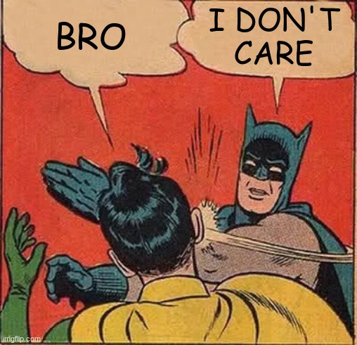 Batman Slapping Robin | BRO; I DON'T
CARE | image tagged in memes,batman slapping robin | made w/ Imgflip meme maker