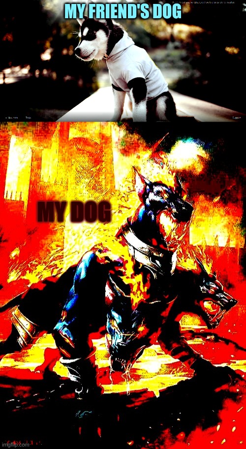 my dog vs. friend's dog | MY FRIEND'S DOG; MY DOG | image tagged in dog meme | made w/ Imgflip meme maker