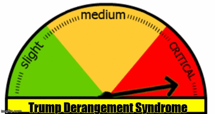 Generic Meter | Trump Derangement Syndrome | image tagged in generic meter | made w/ Imgflip meme maker