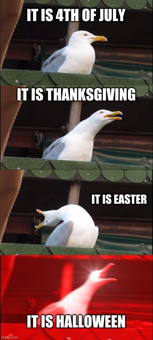 Inhaling Seagull Meme | IT IS 4TH OF JULY; IT IS THANKSGIVING; IT IS EASTER; IT IS HALLOWEEN | image tagged in memes,inhaling seagull | made w/ Imgflip meme maker