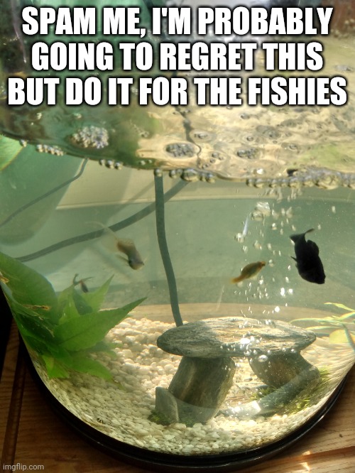 Hi | SPAM ME, I'M PROBABLY GOING TO REGRET THIS BUT DO IT FOR THE FISHIES | image tagged in fishies,spam,memes | made w/ Imgflip meme maker