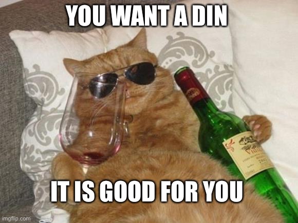 Funny Cat Birthday | YOU WANT A DIN; IT IS GOOD FOR YOU | image tagged in funny cat birthday | made w/ Imgflip meme maker