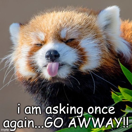 GO AWWAY! | i am asking once again...GO AWWAY!! | image tagged in go awway | made w/ Imgflip meme maker