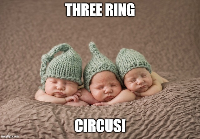 Stressed Triplets | THREE RING CIRCUS! | image tagged in stressed triplets | made w/ Imgflip meme maker