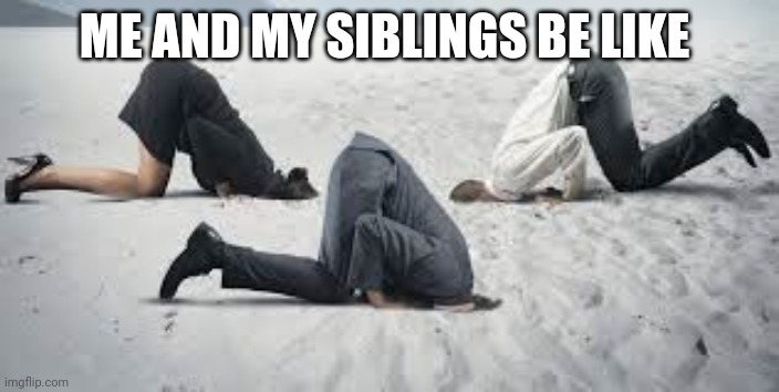 Current Politics | ME AND MY SIBLINGS BE LIKE | image tagged in current politics | made w/ Imgflip meme maker