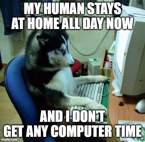 I Have No Idea What I Am Doing Meme | MY HUMAN STAYS AT HOME ALL DAY NOW AND I DON'T GET ANY COMPUTER TIME | image tagged in memes,i have no idea what i am doing | made w/ Imgflip meme maker