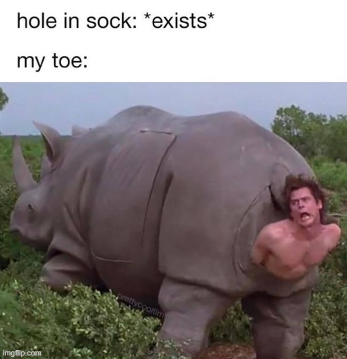 lol | image tagged in repost,rhino,socks,sock,toe,hole | made w/ Imgflip meme maker