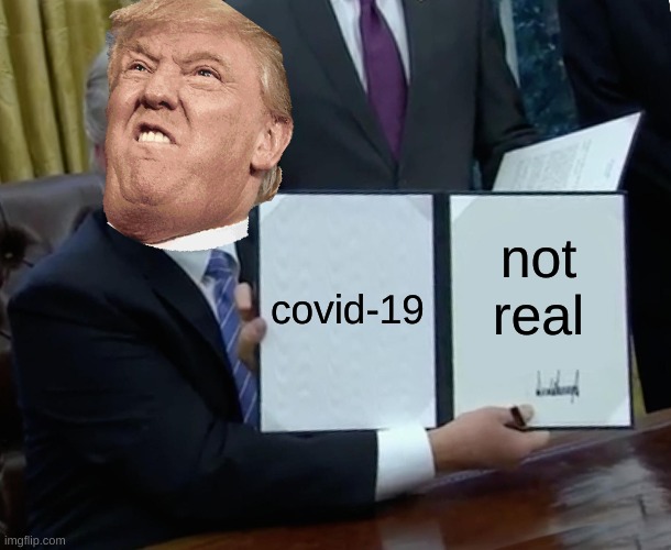 Trump Bill Signing | covid-19; not real | image tagged in memes,trump bill signing | made w/ Imgflip meme maker