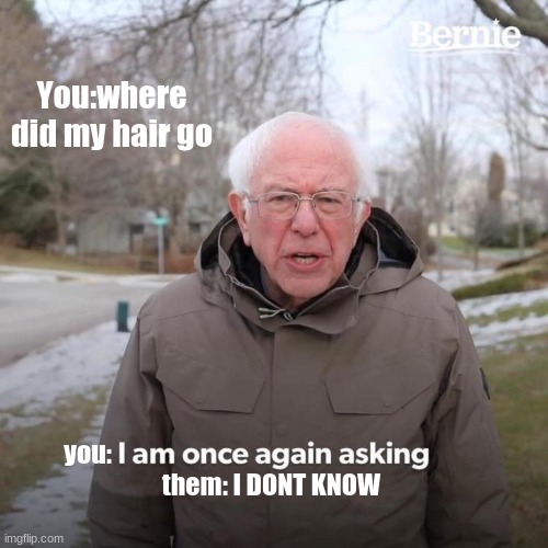 Bernie I Am Once Again Asking For Your Support | You:where did my hair go; you:                                                                         
them: I DONT KNOW | image tagged in memes,bernie i am once again asking for your support | made w/ Imgflip meme maker