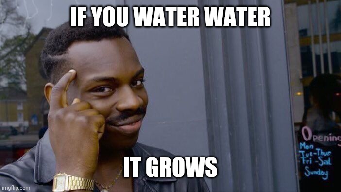 Roll Safe Think About It Meme | IF YOU WATER WATER; IT GROWS | image tagged in memes,roll safe think about it | made w/ Imgflip meme maker