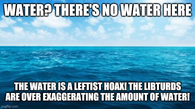 Ocean | WATER? THERE'S NO WATER HERE; THE WATER IS A LEFTIST HOAX! THE LIBTURDS ARE OVER EXAGGERATING THE AMOUNT OF WATER! | image tagged in ocean,conservatives be like | made w/ Imgflip meme maker