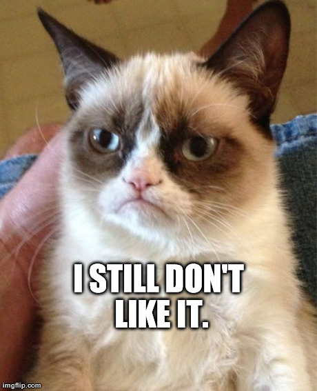 Grumpy Cat Meme | I STILL DON'T LIKE IT. | image tagged in memes,grumpy cat | made w/ Imgflip meme maker