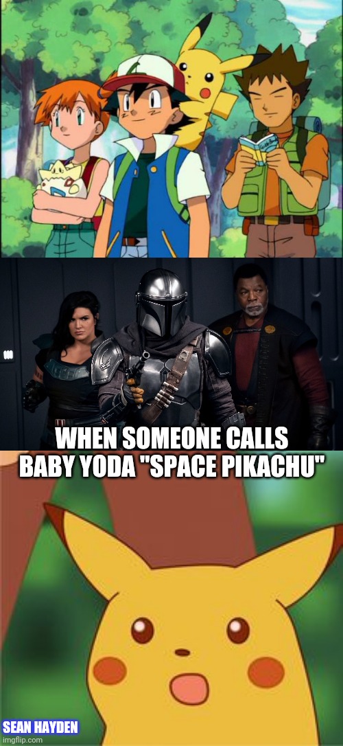 WHEN SOMEONE CALLS BABY YODA "SPACE PIKACHU"; SEAN HAYDEN | image tagged in scumbag pokemon trainers | made w/ Imgflip meme maker