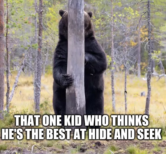 Funny bear | THAT ONE KID WHO THINKS HE'S THE BEST AT HIDE AND SEEK | image tagged in hide and seek | made w/ Imgflip meme maker