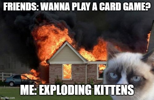 Burn Kitty | FRIENDS: WANNA PLAY A CARD GAME? ME: EXPLODING KITTENS | image tagged in memes,burn kitty,grumpy cat | made w/ Imgflip meme maker
