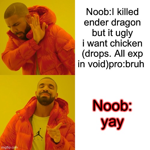 Noobs rnt smRt | Noob:I killed ender dragon but it ugly i want chicken (drops. All exp in void)pro:bruh; Noob: yay | image tagged in memes,drake hotline bling | made w/ Imgflip meme maker