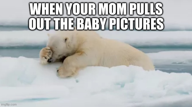 embarrassing | WHEN YOUR MOM PULLS OUT THE BABY PICTURES | image tagged in polar bear | made w/ Imgflip meme maker