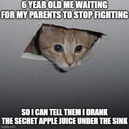 Ceiling Cat | 6 YEAR OLD ME WAITING FOR MY PARENTS TO STOP FIGHTING; SO I CAN TELL THEM I DRANK THE SECRET APPLE JUICE UNDER THE SINK | image tagged in memes,ceiling cat | made w/ Imgflip meme maker