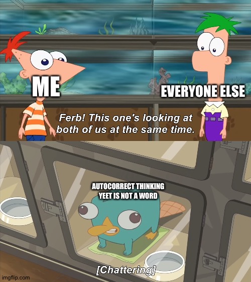 phineas and ferb | ME EVERYONE ELSE AUTOCORRECT THINKING YEET IS NOT A WORD | image tagged in phineas and ferb | made w/ Imgflip meme maker