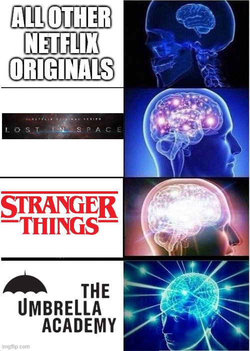 ranking of Netflix original shows | ALL OTHER NETFLIX ORIGINALS | image tagged in expanding brain,netflix | made w/ Imgflip meme maker