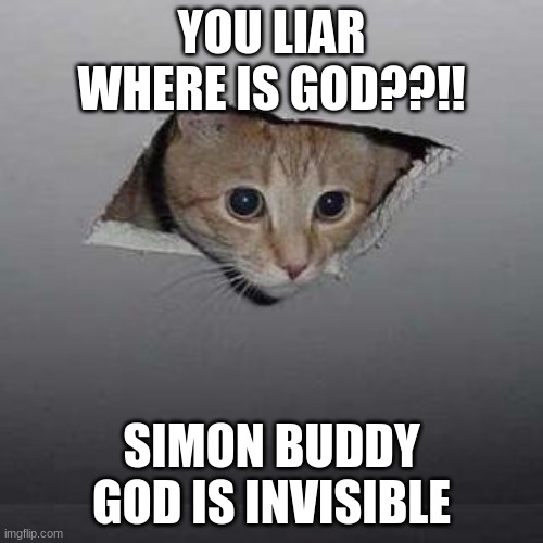 Ceiling Cat Meme | YOU LIAR
WHERE IS GOD??!! SIMON BUDDY GOD IS INVISIBLE | image tagged in memes,ceiling cat | made w/ Imgflip meme maker