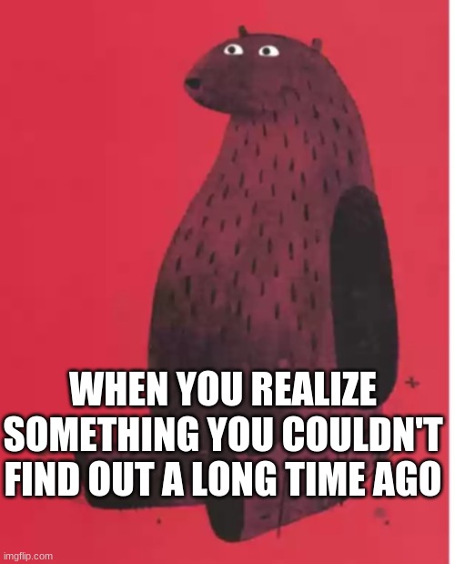 Bear | WHEN YOU REALIZE SOMETHING YOU COULDN'T FIND OUT A LONG TIME AGO | image tagged in bear | made w/ Imgflip meme maker