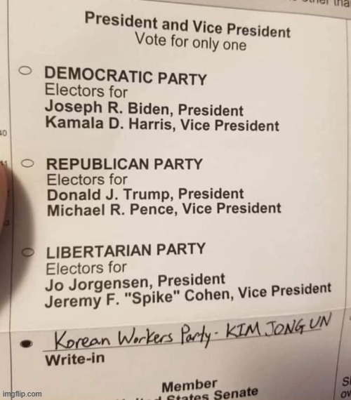 The Leftist cringe this time is so potent, it goes in both cringe streams. | image tagged in kim jong-un write-in ballot,cringe,cringe worthy,election 2020,2020 elections,leftists | made w/ Imgflip meme maker