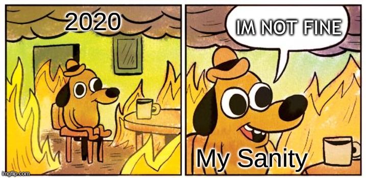 My Sanity and memes | IM NOT FINE; 2020; My Sanity | image tagged in memes,this is fine | made w/ Imgflip meme maker