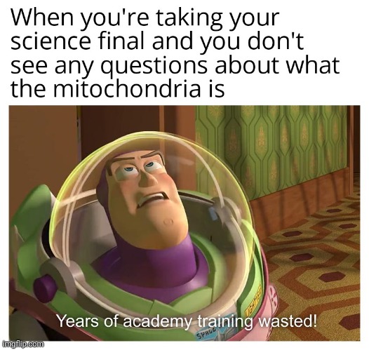 wasted | image tagged in gotanypain | made w/ Imgflip meme maker