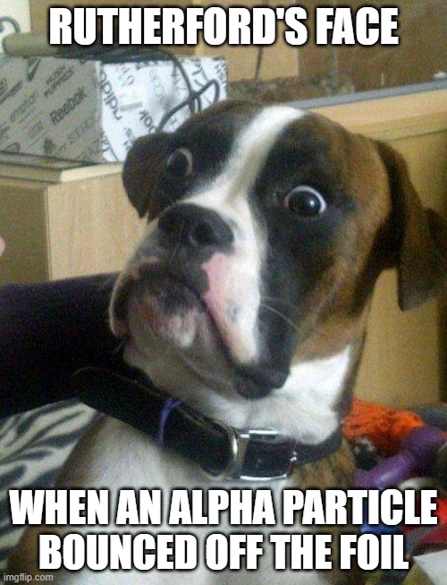 Rutherford's Gold Foil Experiment | RUTHERFORD'S FACE; WHEN AN ALPHA PARTICLE BOUNCED OFF THE FOIL | image tagged in surprised dog,rutherford's gold foil | made w/ Imgflip meme maker