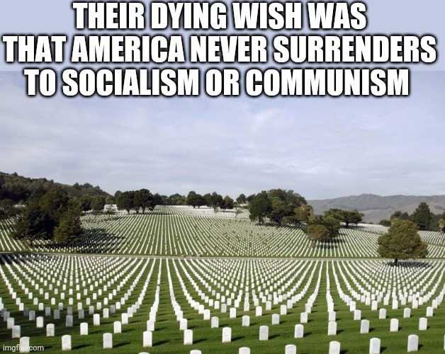 Politics and stuff | THEIR DYING WISH WAS THAT AMERICA NEVER SURRENDERS TO SOCIALISM OR COMMUNISM | image tagged in arlington national cemetery | made w/ Imgflip meme maker