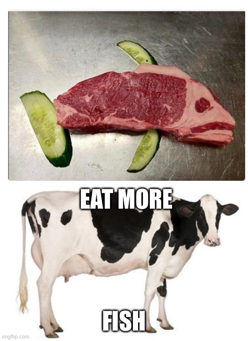 A Steady Diet | EAT MORE; FISH | image tagged in funny memes | made w/ Imgflip meme maker