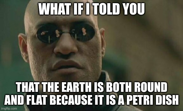 You're Both Right | WHAT IF I TOLD YOU; THAT THE EARTH IS BOTH ROUND AND FLAT BECAUSE IT IS A PETRI DISH | image tagged in memes,matrix morpheus | made w/ Imgflip meme maker