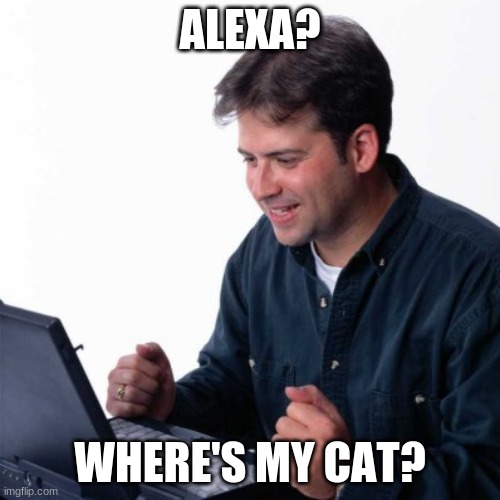 Net Noob Meme | ALEXA? WHERE'S MY CAT? | image tagged in memes,net noob,cats | made w/ Imgflip meme maker