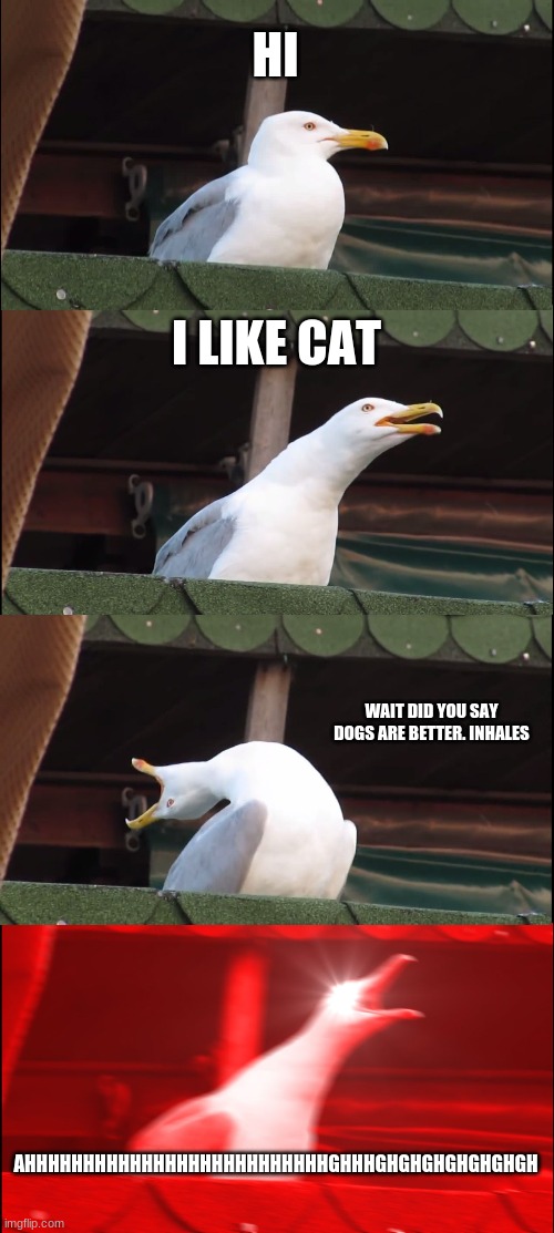 Inhaling Seagull | HI; I LIKE CAT; WAIT DID YOU SAY DOGS ARE BETTER. INHALES; AHHHHHHHHHHHHHHHHHHHHHHHHHHGHHHGHGHGHGHGHGHGH | image tagged in memes,inhaling seagull | made w/ Imgflip meme maker