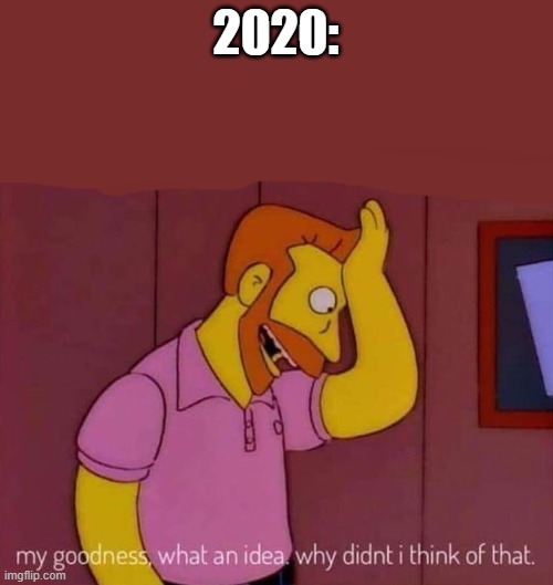 my goodness what an idea why didn't I think of that | 2020: | image tagged in my goodness what an idea why didn't i think of that | made w/ Imgflip meme maker