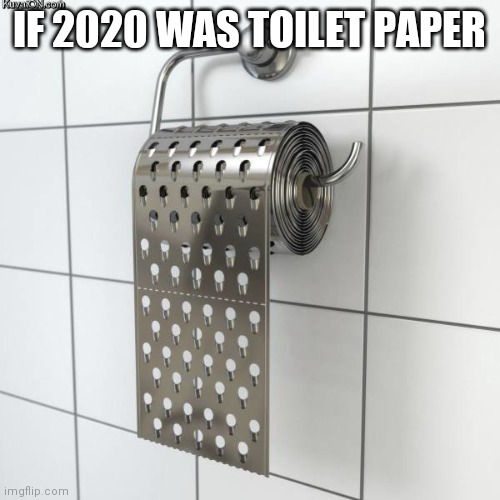 Metal toilet paper | IF 2020 WAS TOILET PAPER | image tagged in metal toilet paper | made w/ Imgflip meme maker
