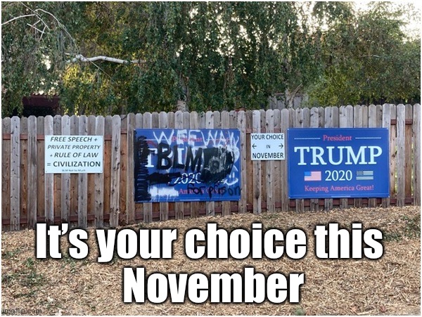 Choose wisely... | It’s your choice this 
November | image tagged in choose wise | made w/ Imgflip meme maker