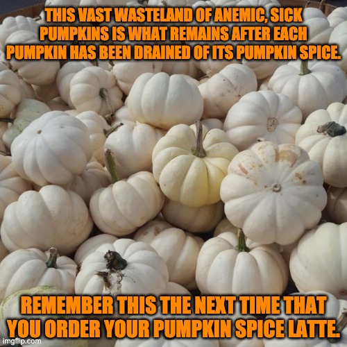 Only you can prevent this annual disaster. | THIS VAST WASTELAND OF ANEMIC, SICK PUMPKINS IS WHAT REMAINS AFTER EACH PUMPKIN HAS BEEN DRAINED OF ITS PUMPKIN SPICE. REMEMBER THIS THE NEXT TIME THAT YOU ORDER YOUR PUMPKIN SPICE LATTE. | image tagged in fall,pumpkin,pumpkin spice | made w/ Imgflip meme maker