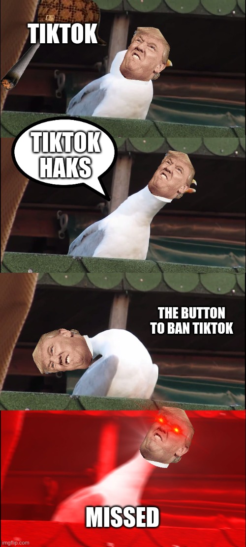 trump's failure | TIKTOK; TIKTOK HAKS; THE BUTTON TO BAN TIKTOK; MISSED | image tagged in memes,inhaling seagull,donald trump | made w/ Imgflip meme maker