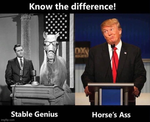 Know the difference! | image tagged in stable genius vs horse's ass,stable genius,ass,horse,donald trump is an idiot,trump is a moron | made w/ Imgflip meme maker