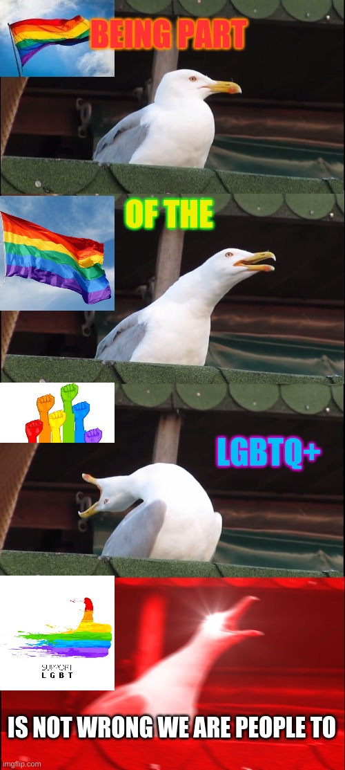 LGBTQ+ people are people to | BEING PART; OF THE; LGBTQ+; IS NOT WRONG WE ARE PEOPLE TO | image tagged in inhaling seagull,lgbtq plus,we are people to | made w/ Imgflip meme maker