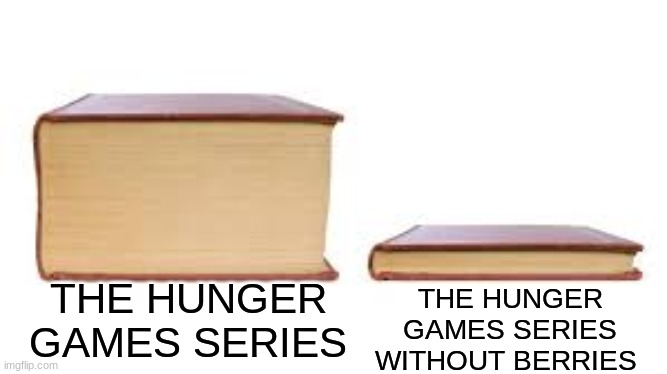 Books | THE HUNGER GAMES SERIES WITHOUT BERRIES; THE HUNGER GAMES SERIES | image tagged in big book small book | made w/ Imgflip meme maker