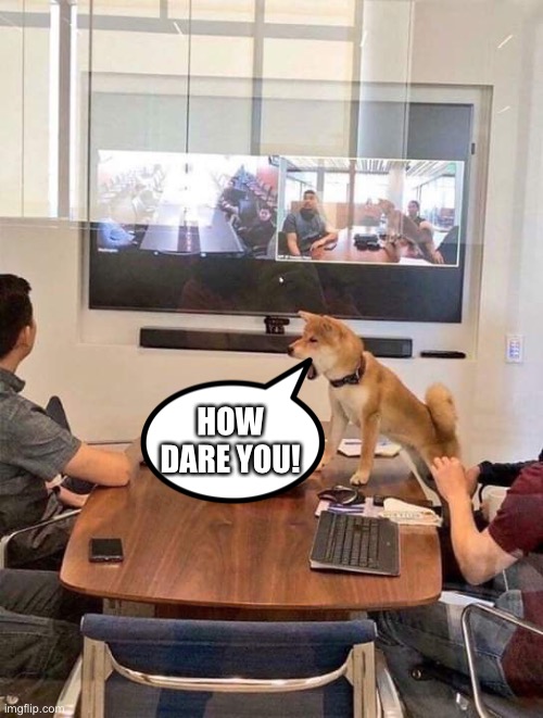 Shocked Office Dog | HOW DARE YOU! | image tagged in shocked office dog | made w/ Imgflip meme maker