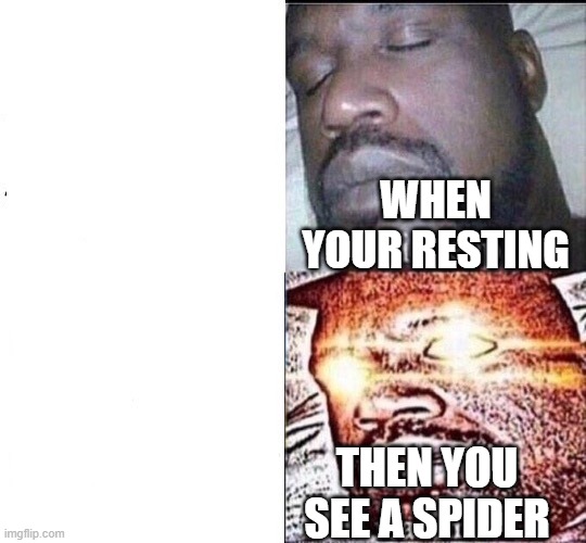 Seeing a spider | WHEN YOUR RESTING; THEN YOU SEE A SPIDER | image tagged in shack sleeping | made w/ Imgflip meme maker