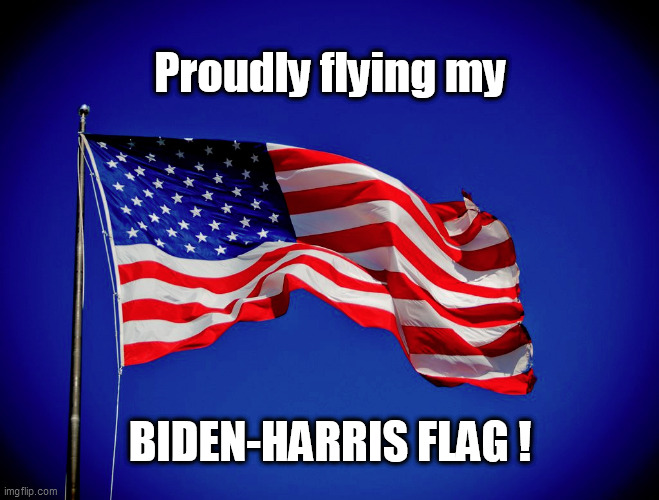 Proudly flying my; BIDEN-HARRIS FLAG ! | image tagged in old glory,biden/harris,u s flag | made w/ Imgflip meme maker